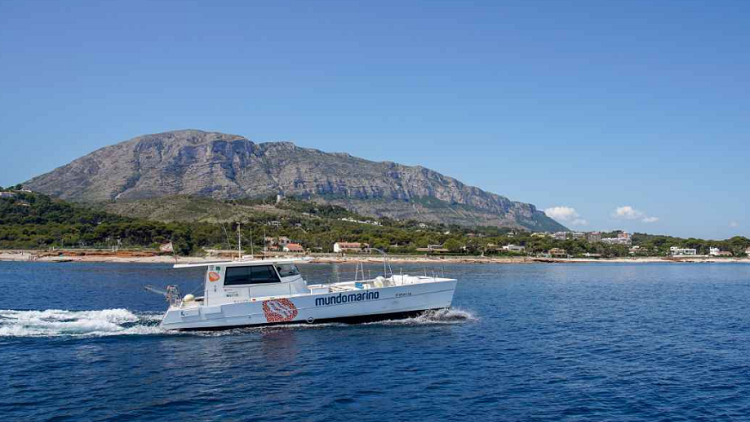 ¡Nos vamos de ruta! Tour por la Cova Tallada, reserva marina y baño en barco desde Denia